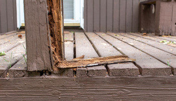 Deck that needs to be replaced.